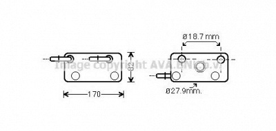 AVA QUALITY COOLING bw3347 -  Масляный радиатор, автоматическая коробка передач